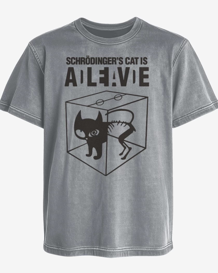 Polera desgastada Gris Melange de Gato de schrodinger