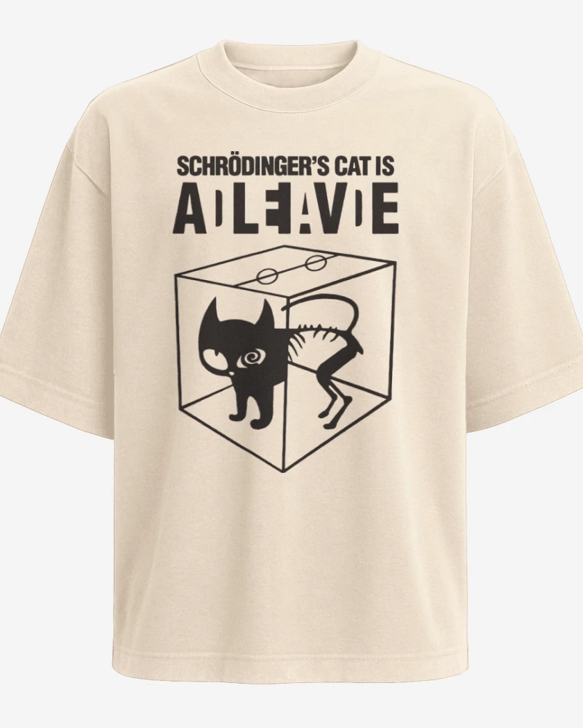 Polera Oversize Gato de schrodinger