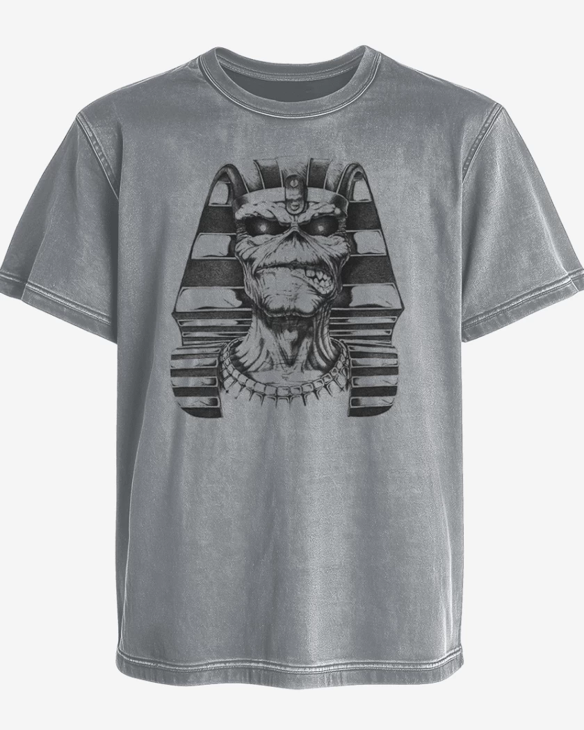 Polera desgastada Eddie 3