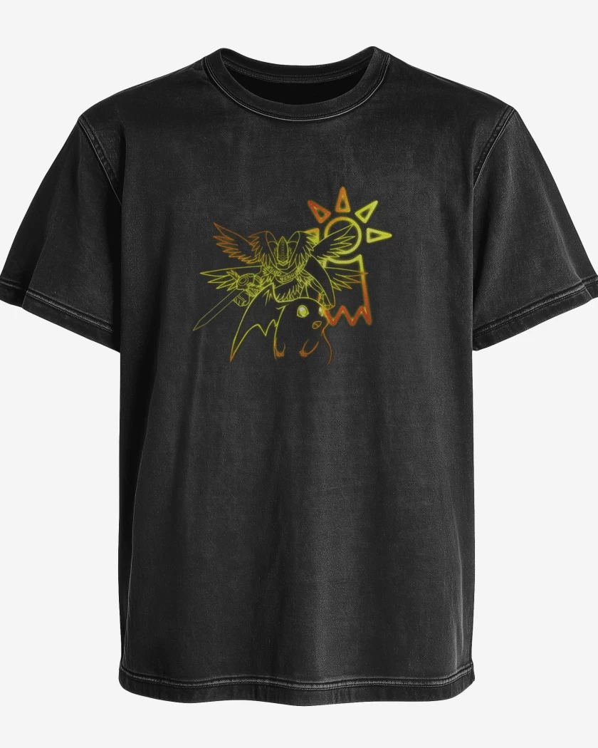 Polera desgastada patamon 2