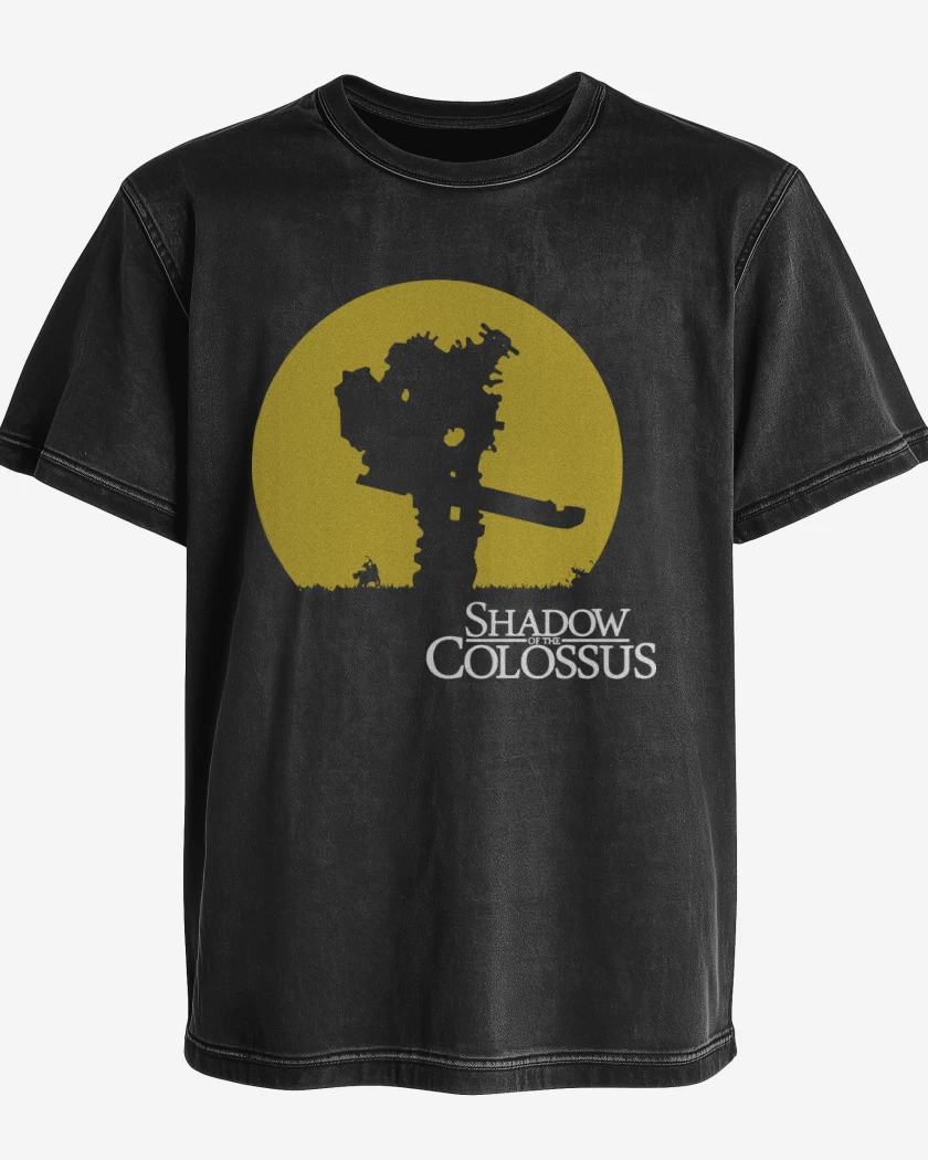 Polera desgastada Shadow of the Colossus