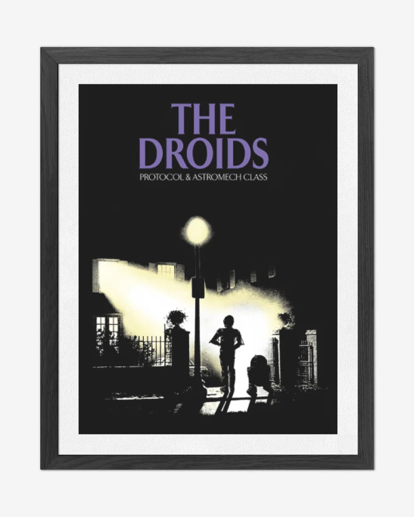 Cuadro decorativo Negro de The Droids
