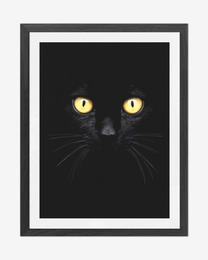 Cuadro decorativo Gatito 8000