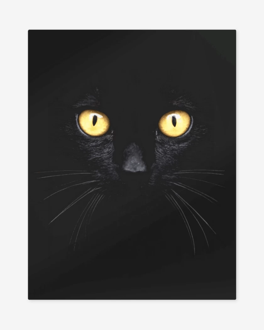 Print metalico Negro de Gatito 8000