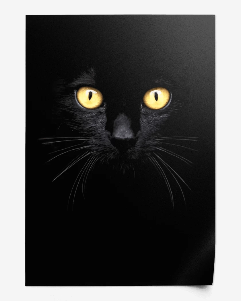 Print Gatito 8000