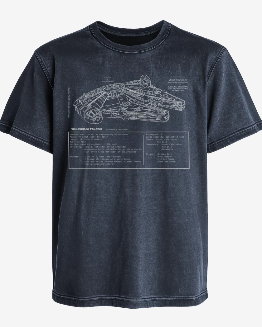Polera desgastada Halcón milenario 2