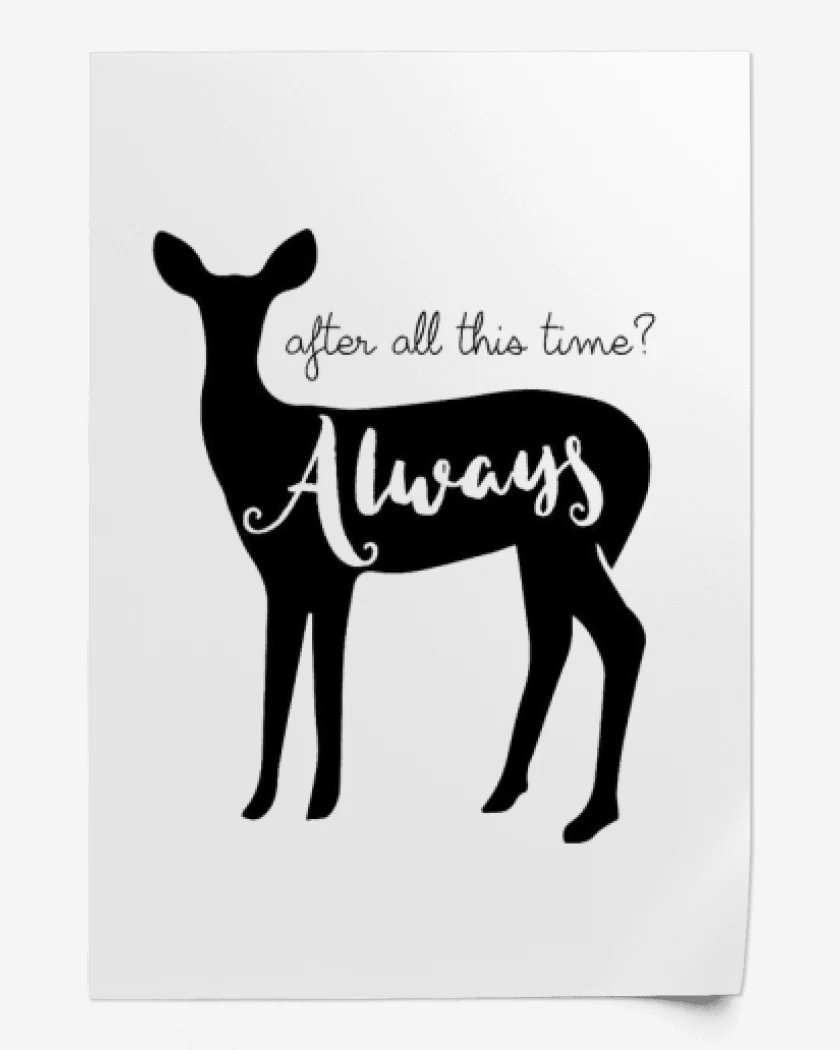 Print Blanco de Patronus Always