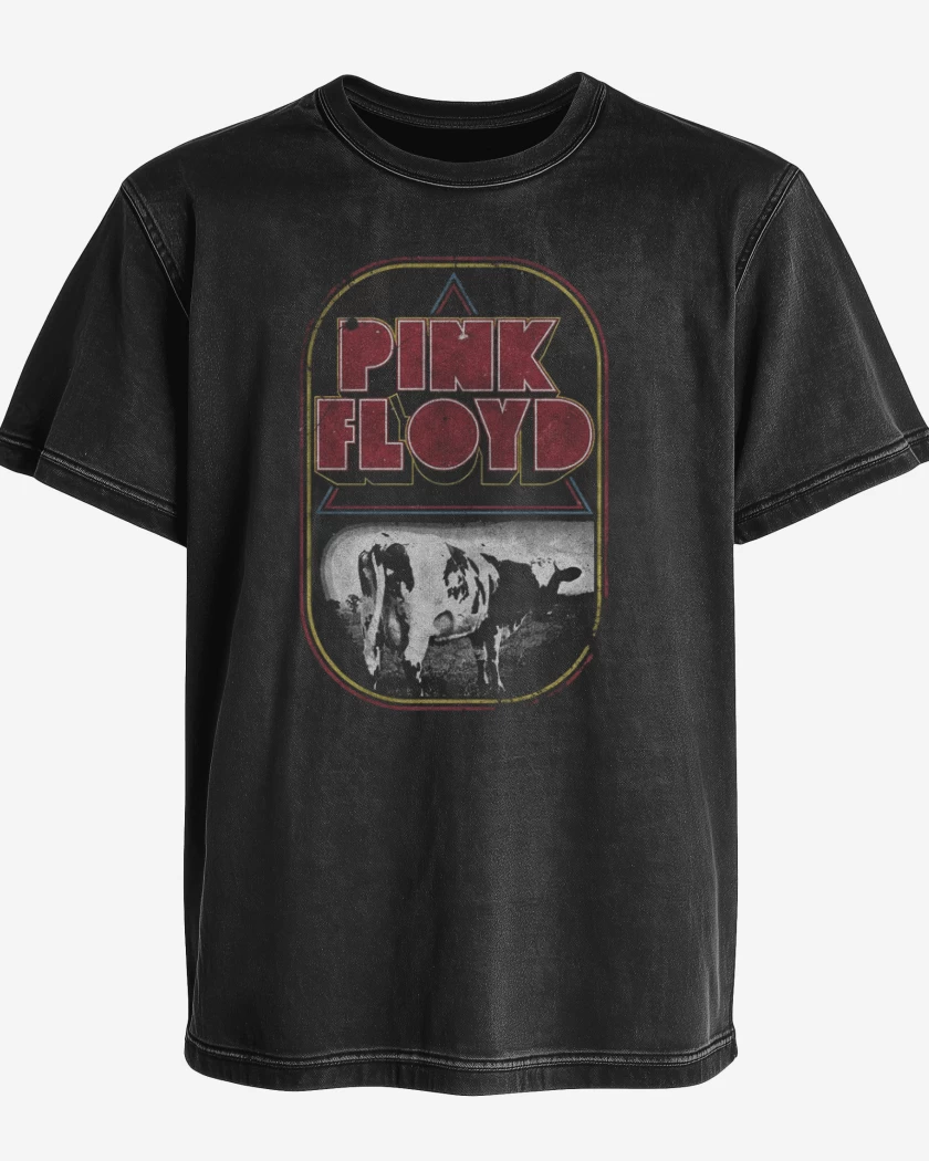 Polera desgastada Pink Floyd Atom heart mother