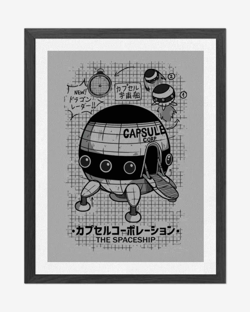 Cuadro decorativo Nave espacial capsule