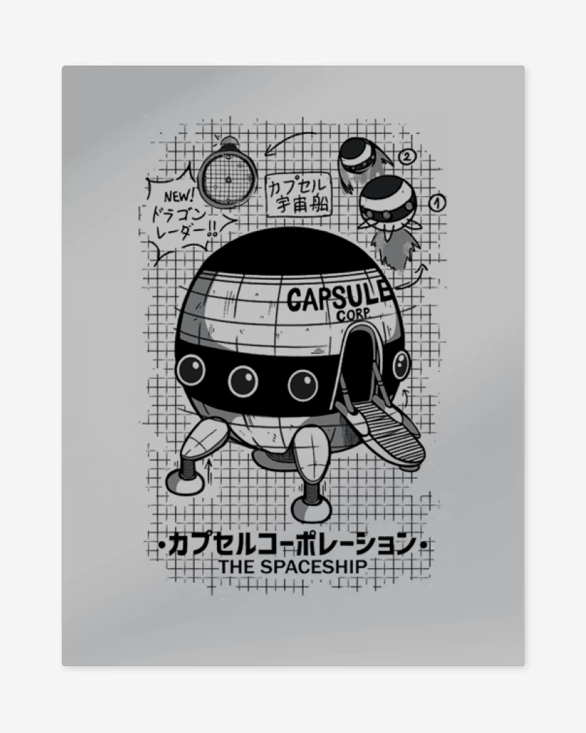 Print metalico Gris Melange de Nave espacial capsule