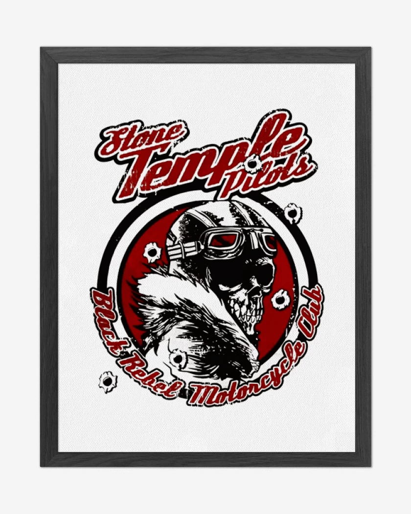 Cuadro decorativo Blanco de stone temple pilots  3