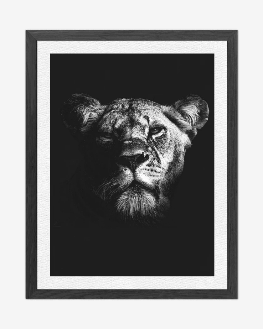 Cuadro decorativo Negro de Leona