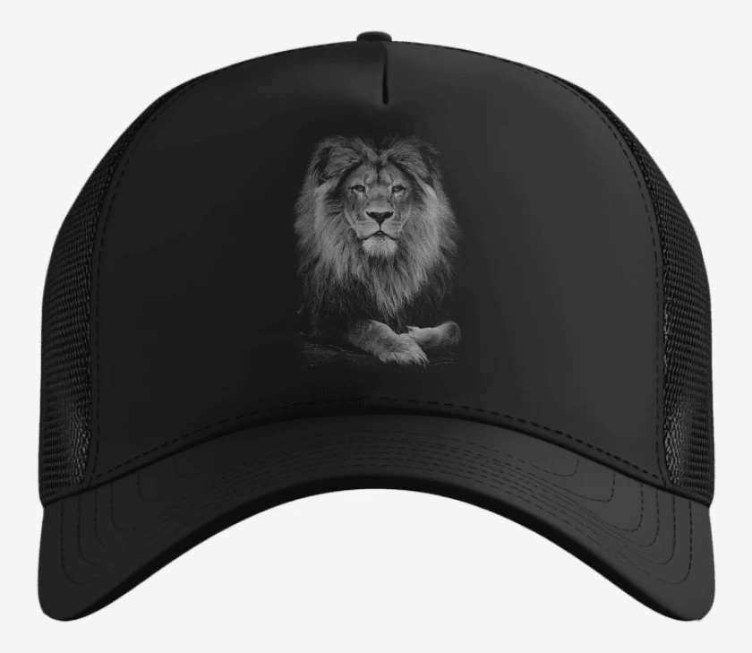 Gorro Leon