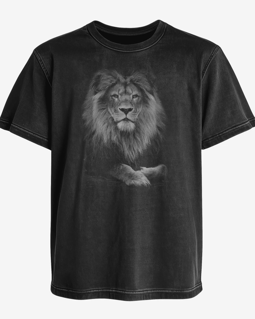 Polera desgastada Negro de Leon