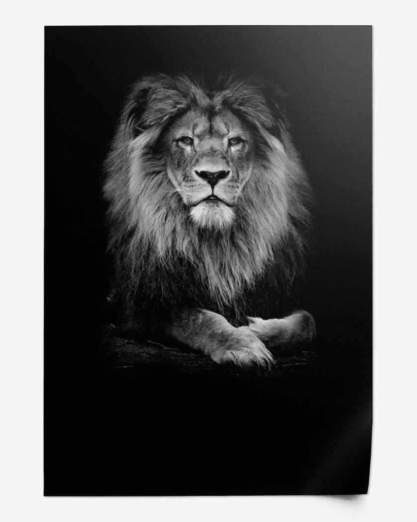 Print Leon