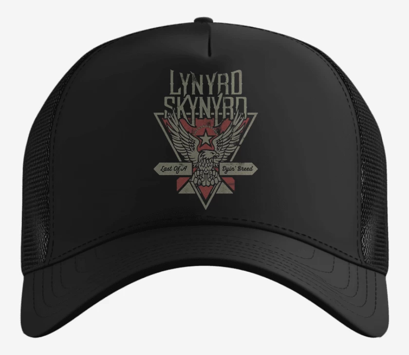 Gorro LYNYRD SKYNYRD 2 
