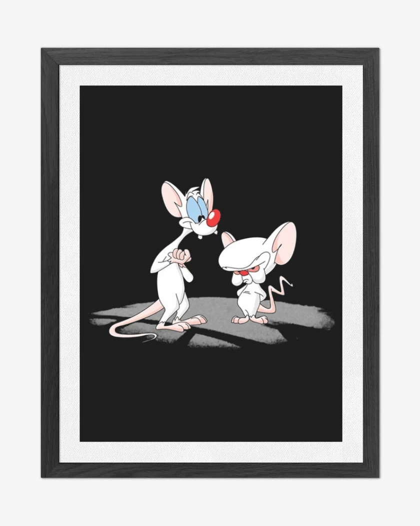 Cuadro decorativo Pinky y cerebro