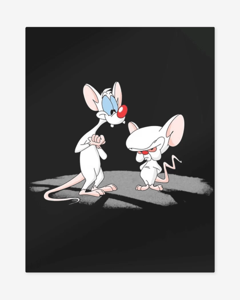 Print metalico Pinky y cerebro
