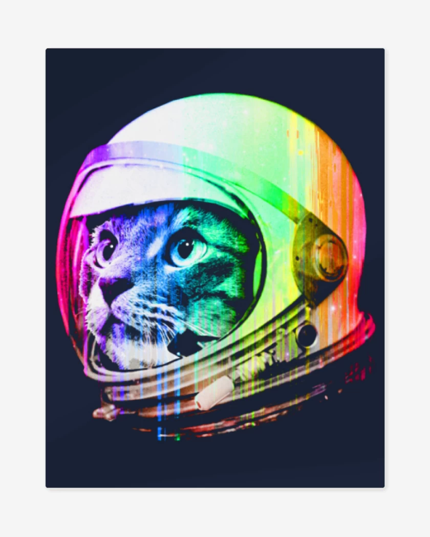Print metalico Azul Marino de Gatito espacio perfil