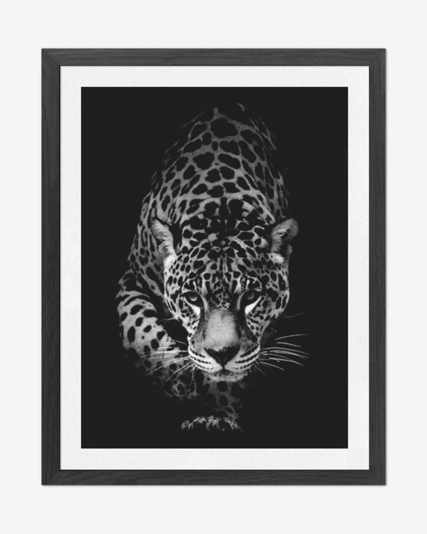 Cuadro decorativo Negro de Leopardo 