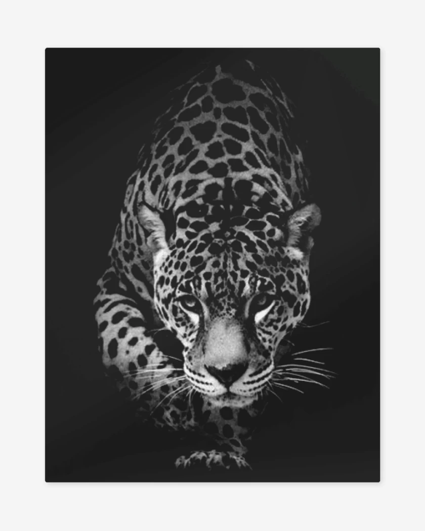 Print metalico Negro de Leopardo 