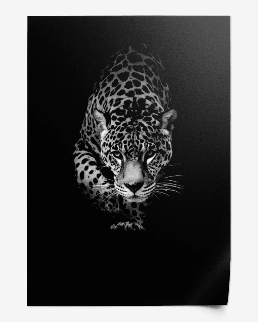 Print Leopardo 