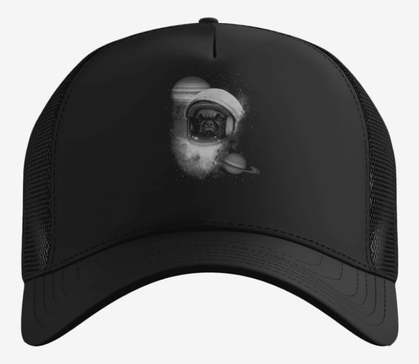 Gorro perrito espacio