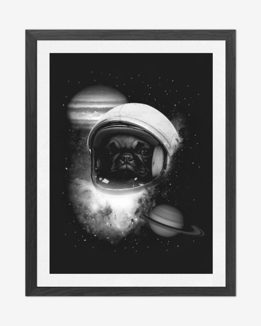 Cuadro decorativo perrito espacio