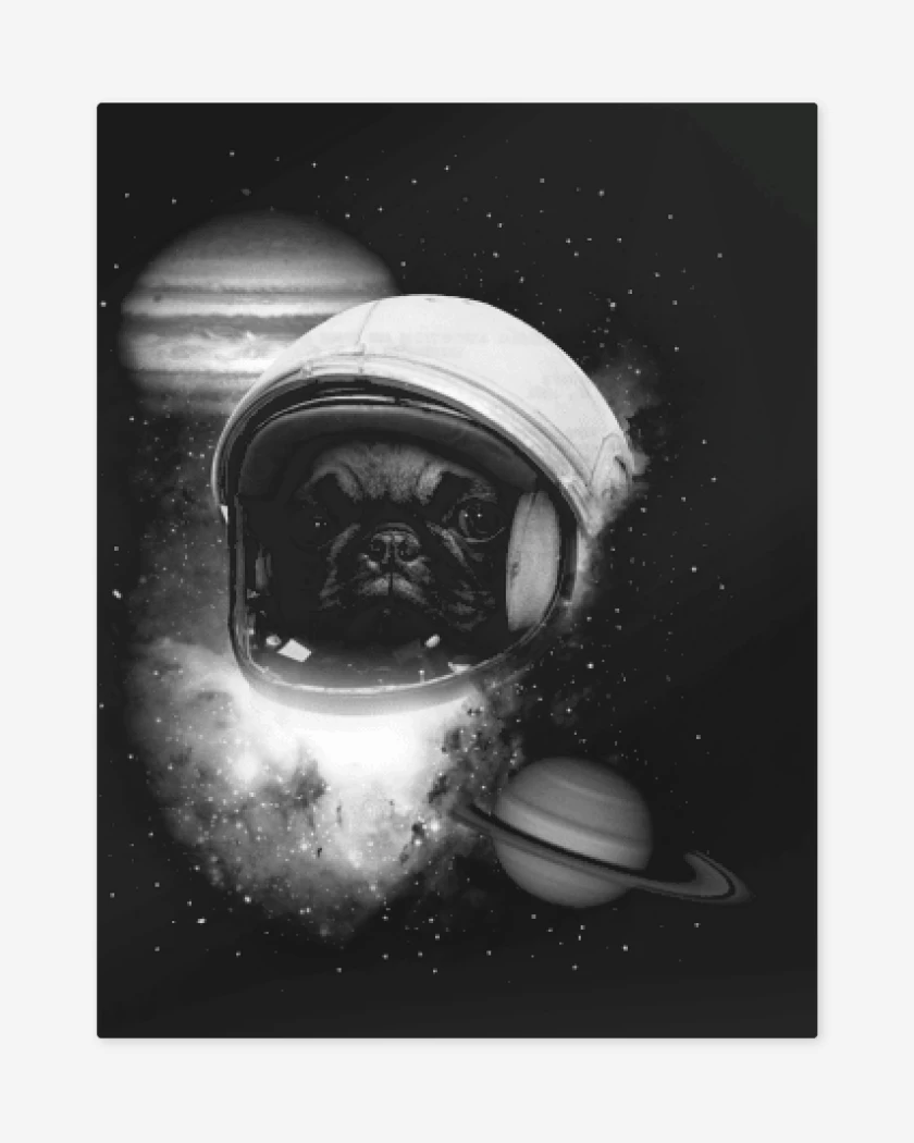 Print metalico perrito espacio