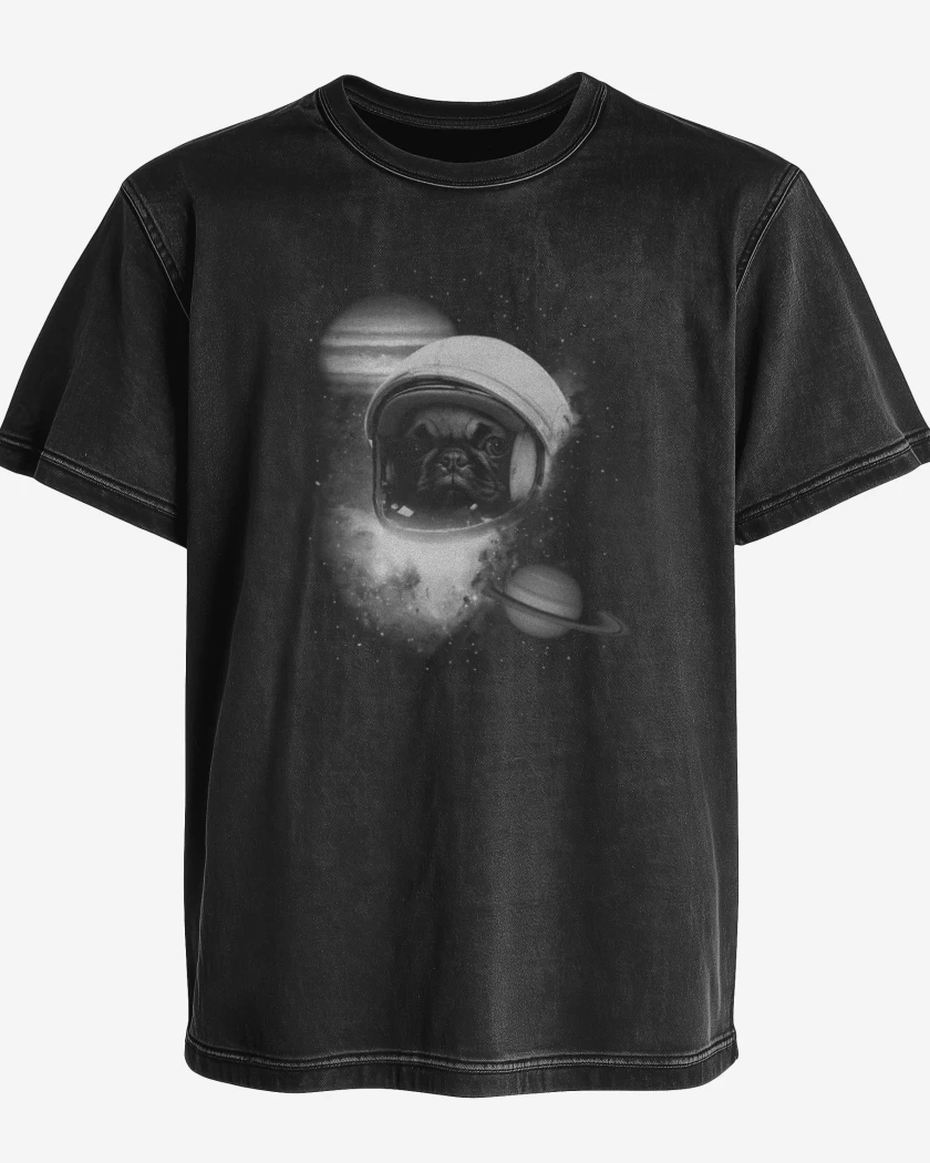 Polera desgastada perrito espacio