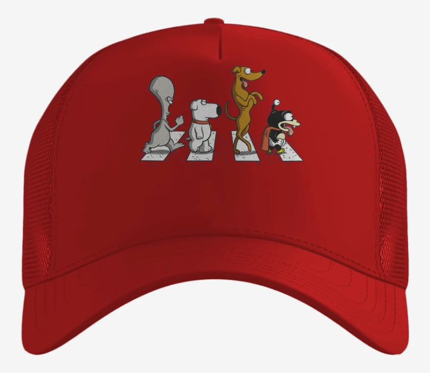 Gorro The mascotas