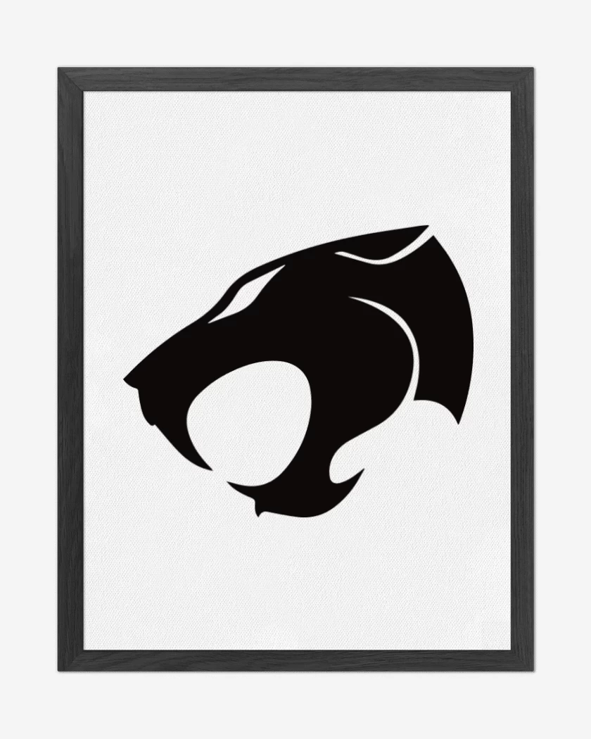 Cuadro decorativo Blanco de Thundercats negro