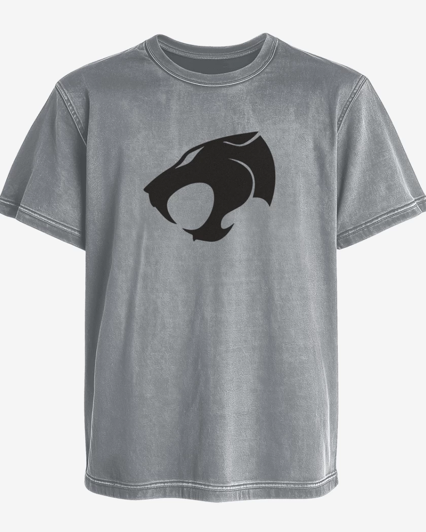 Polera desgastada Gris Melange de Thundercats negro