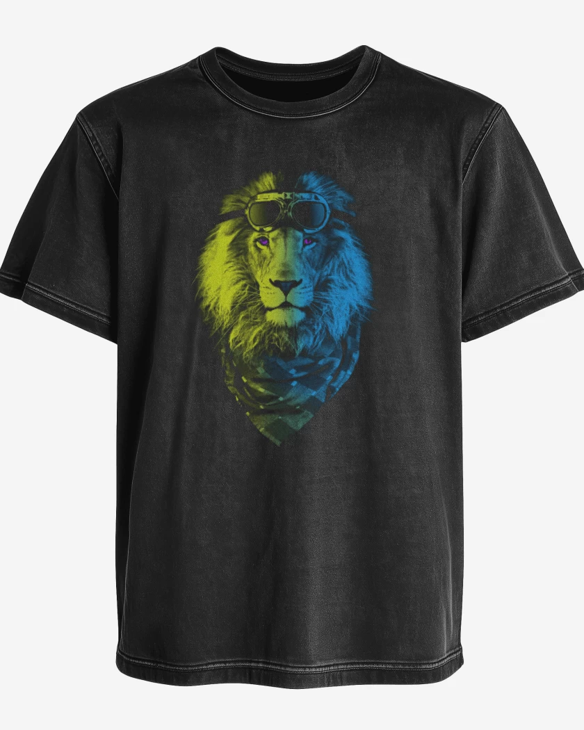 Polera desgastada Lyon colors 