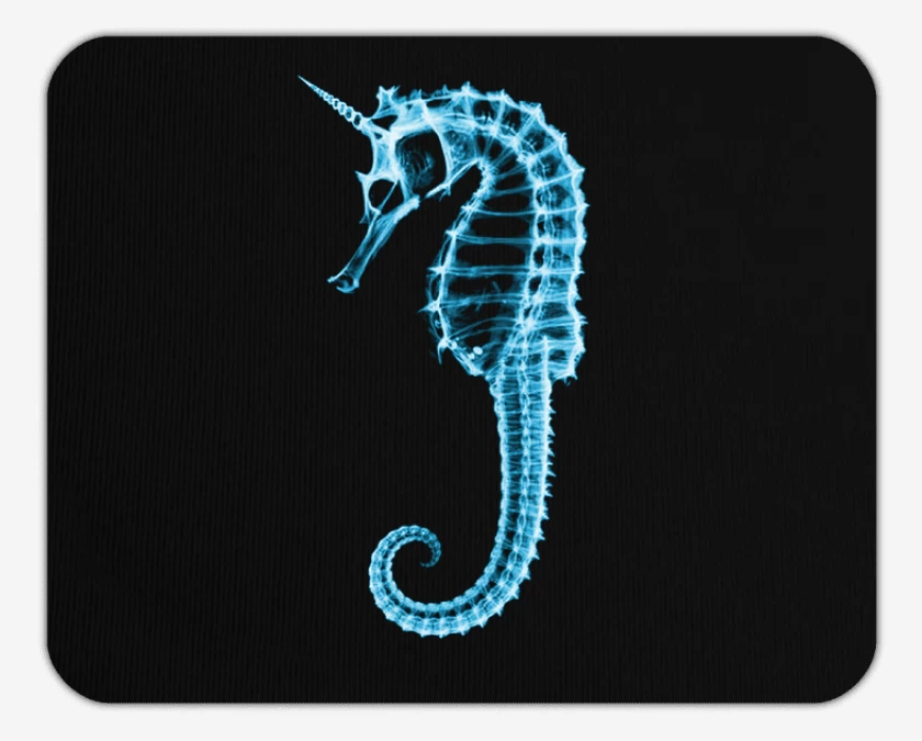 Mousepad Caballito de mar