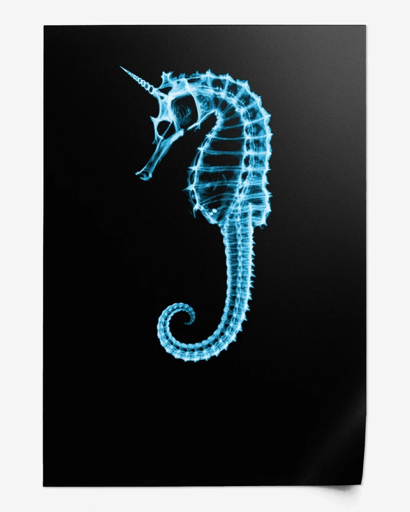 Print Caballito de mar