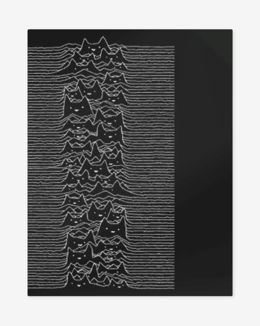 Print metalico Negro de cat division