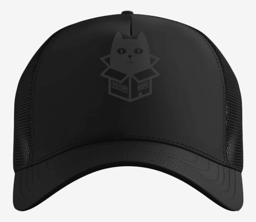 Gorro cat in the box