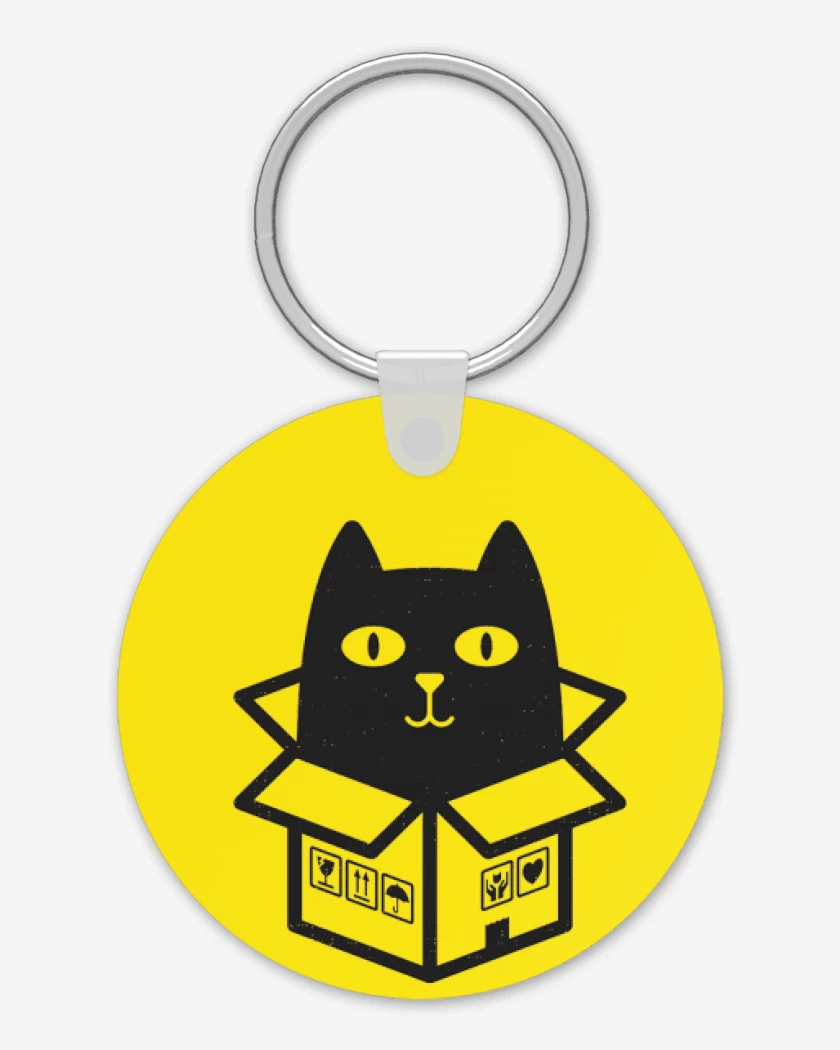 Llavero Amarillo de cat in the box