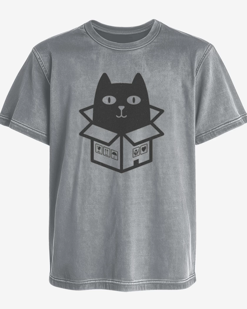 Polera desgastada Gris Melange de cat in the box