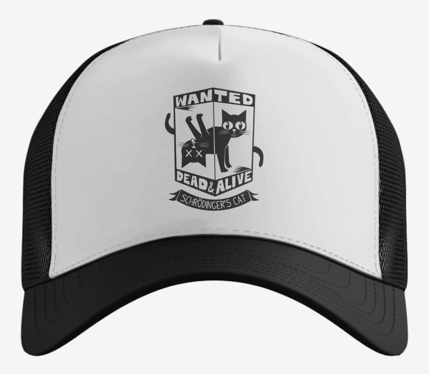 Gorro Wanted cat