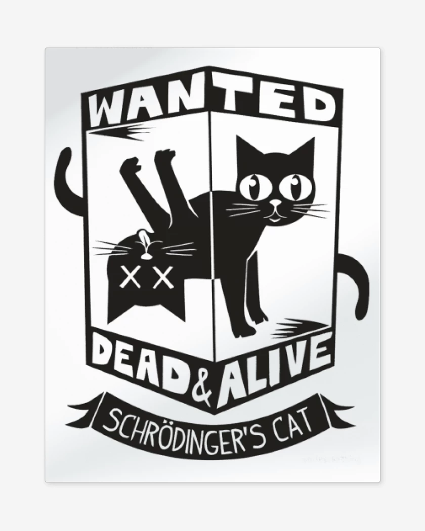 Print metalico Blanco de Wanted cat