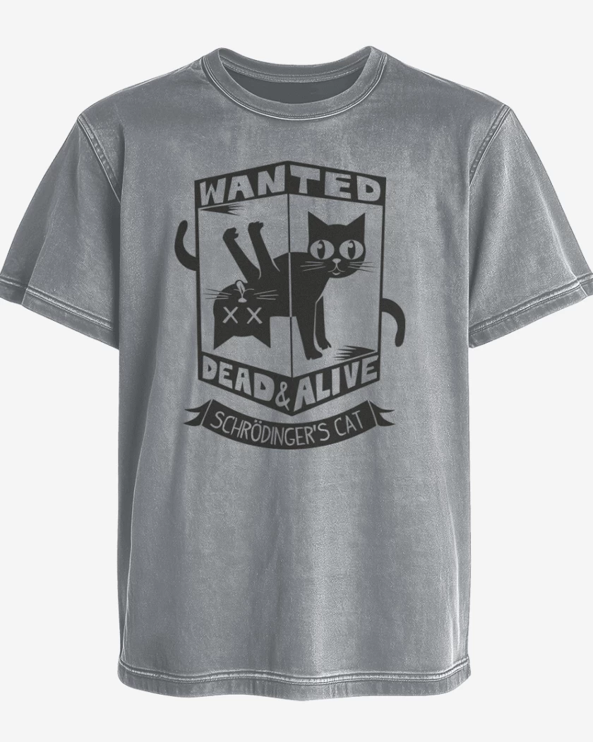 Polera desgastada Gris Melange de Wanted cat