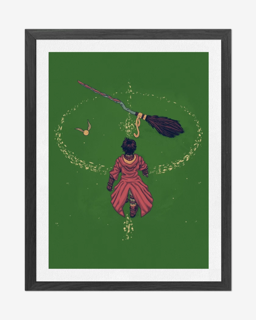 Cuadro decorativo Harry Potter Quidditch