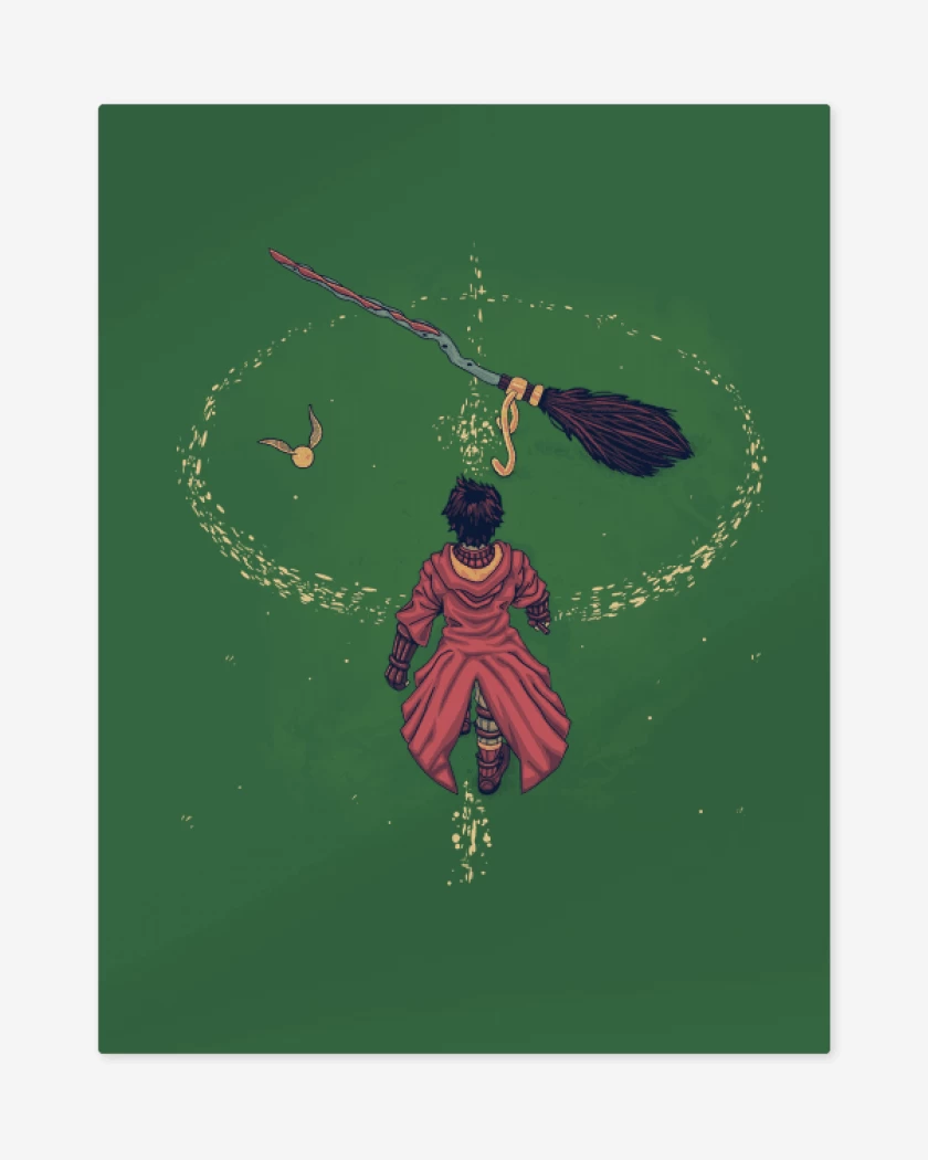 Print metalico Harry Potter Quidditch