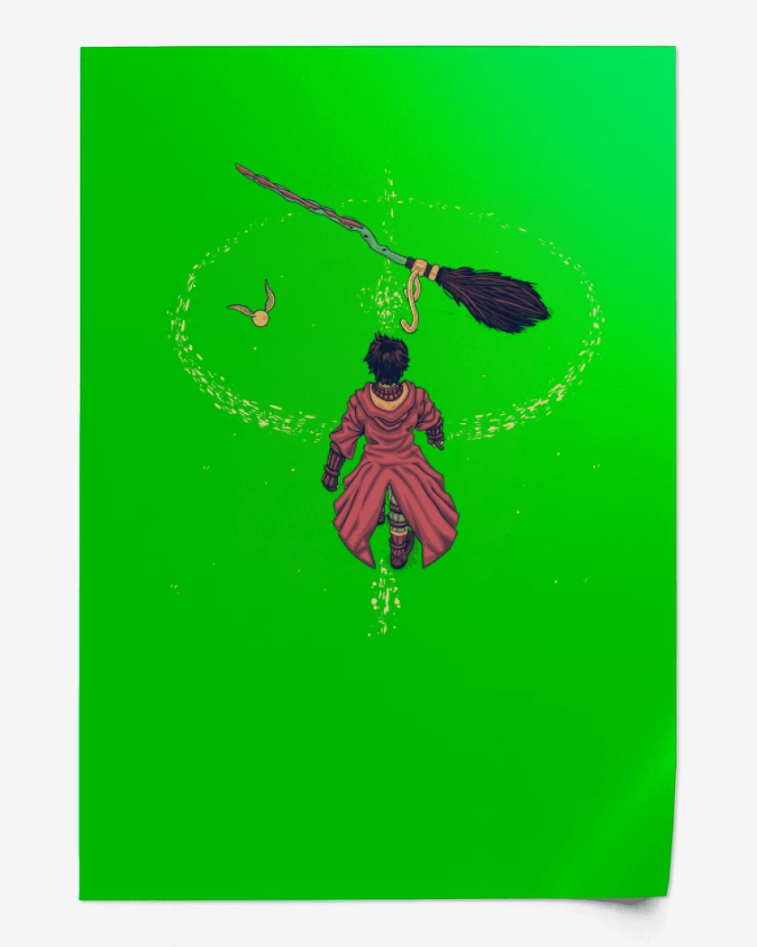 Print Harry Potter Quidditch