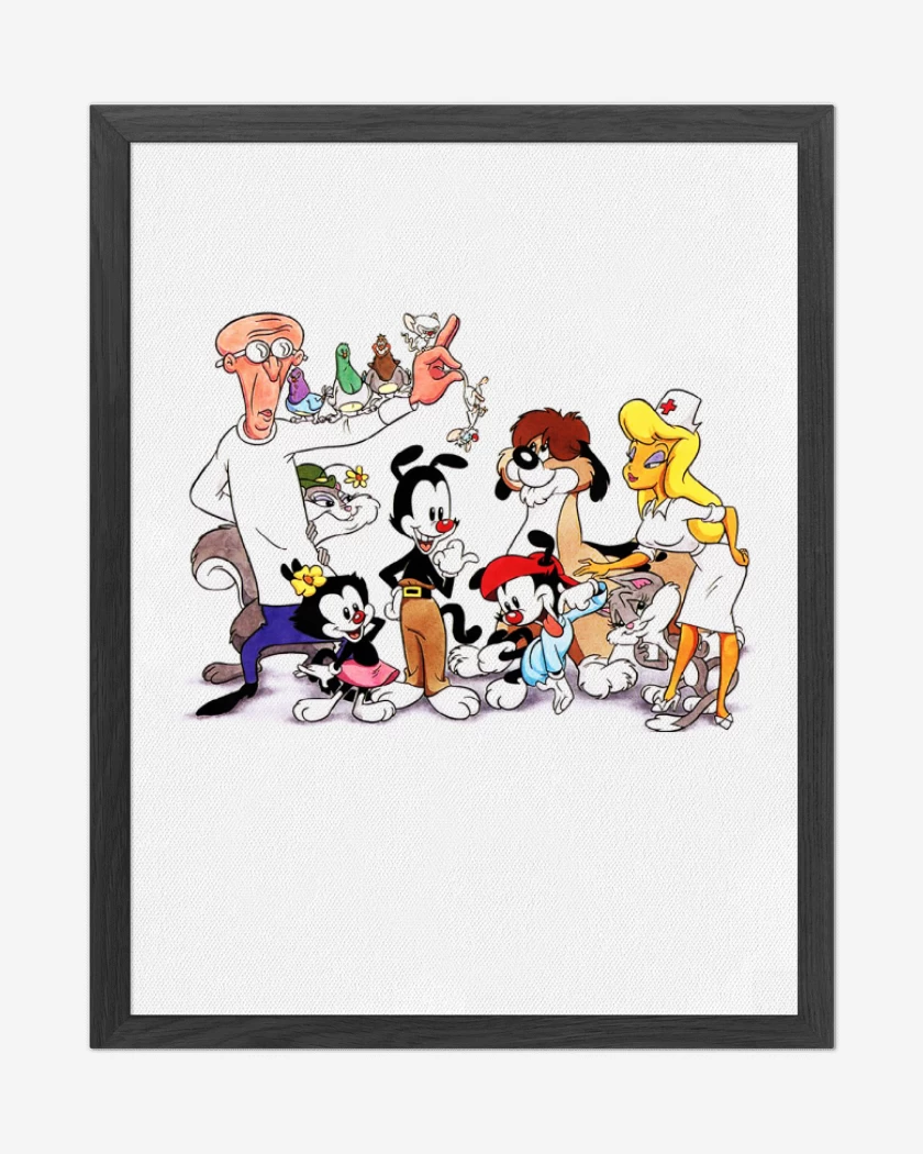 Cuadro decorativo Animaniacs
