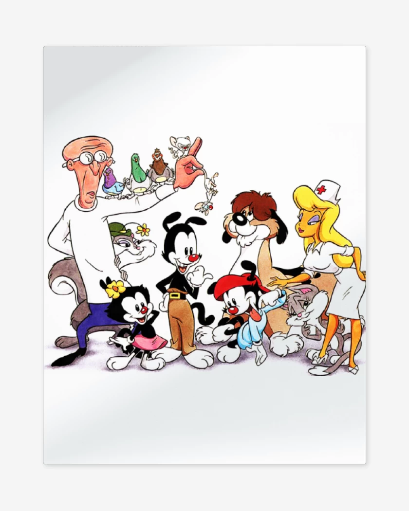 Print metalico Blanco de Animaniacs