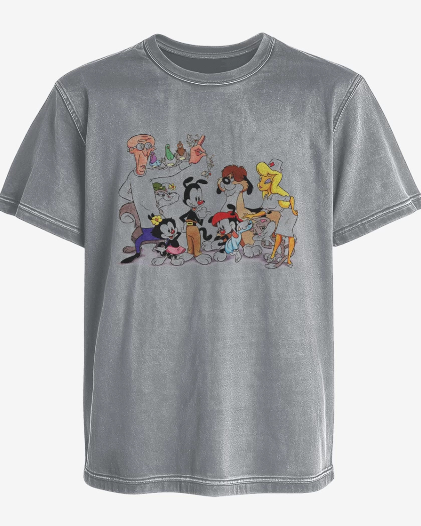 Polera desgastada Animaniacs