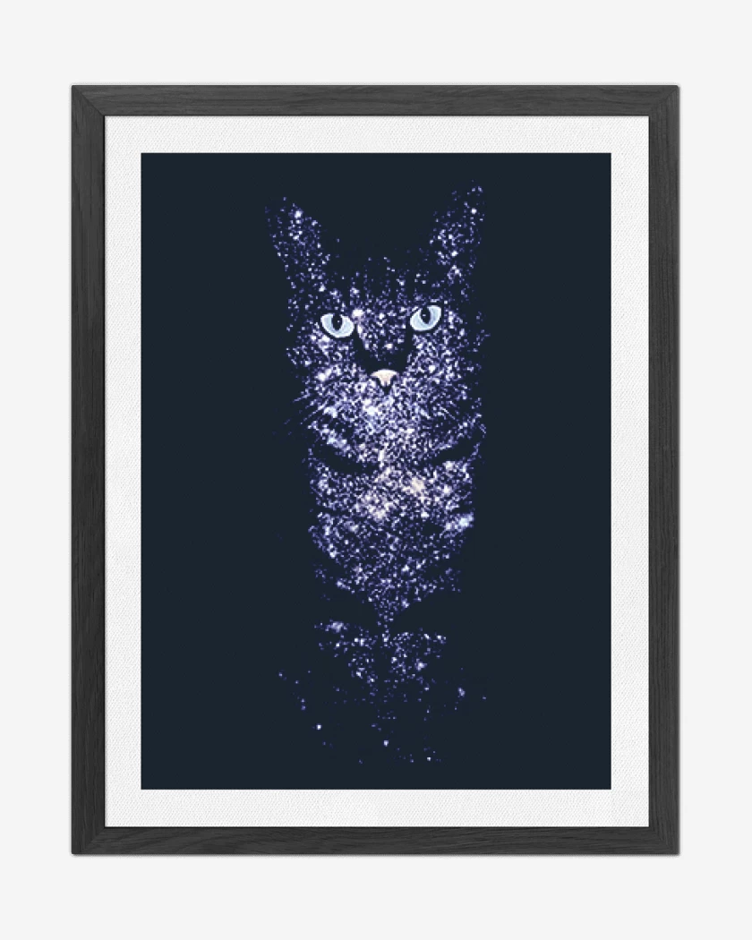 Cuadro decorativo Azul Marino de Gatito estelar